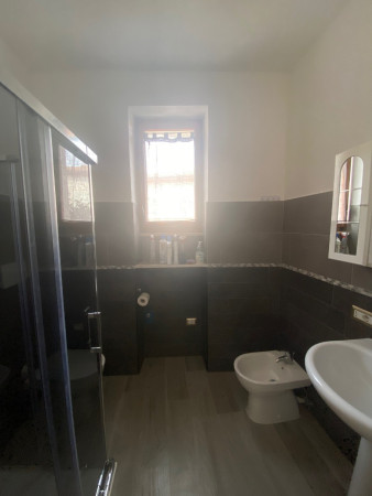 Bicio trilopost (3).JPG